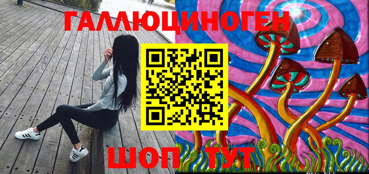 Псилоцибиновые грибы Psilocybe Сызрань